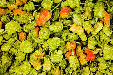 《塞尔达无双：封印战记》11月6日登陆Switch 2平台